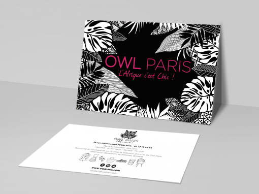 OWL PARIS FLYER