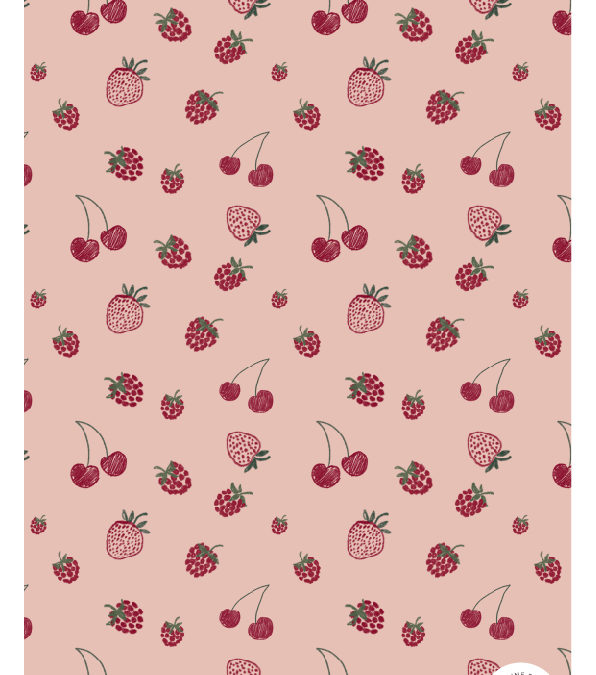 Protégé : FRUITY